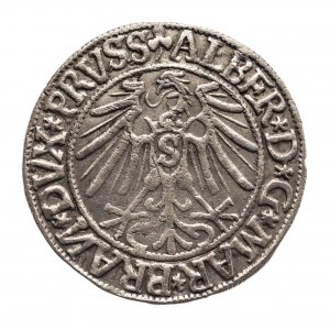 Prusy Książęce, Albert Hohenzollern (1525-1568), grosz 1544, Królewiec
