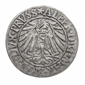 Knížecí Prusko, Albert Hohenzollern (1525-1568), penny 1540, Königsberg