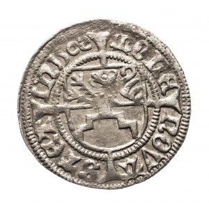Pomerania, Boguslaw X the Great (1478-1523), the 1502 Szczecin shekel