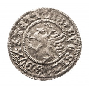 Pomerania, Boguslaw X the Great (1478-1523), the 1502 Szczecin shekel