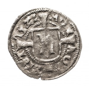 Pomorze, Bogusław X (1478-1523), Wit 1522, Szczecin