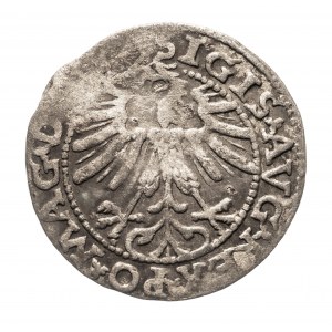 Polska, Zygmunt II August 1545, (1548 - 1572), półgrosz 1563, Wilno