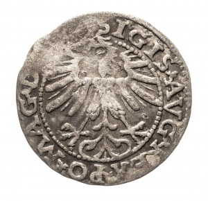 Poland, Sigismund II Augustus 1545, (1548 - 1572), half-grosz 1563, Vilnius
