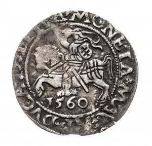 Poland, Sigismund II Augustus 1545, (1548-1572), half-penny 1560, Vilnius, LITVA/LI