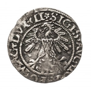 Polska, Zygmunt II August 1545, (1548-1572), półgrosz 1560, Wilno, LITVA/LI