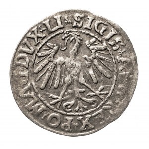 Polska, Zygmunt II August 1545, (1548-1572), półgrosz 1547, Wilno, LITVA/LI