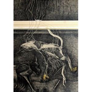 Ireneusz Boguszewski, Mystery Animals-Notre Dame 03