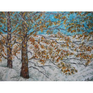 Arkadiusz Koniusz, Drzewa i śnieg, 2006