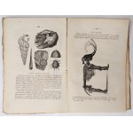 Leśniewski, Historya naturalna Tom III cz, 2, Warszawa 1858 r.