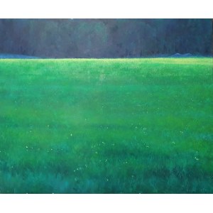 Adam Faglio, Cisza, 2013