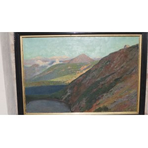 Karkonosze landscape with chalet signed Hans Dressler 1921.