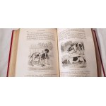 1869. FIGUIER LOUIS, Tableau de la nature. La vie et les mœurs des animaux. Les Mammifères (…).