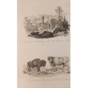 1835. CHODŹKO Leonard, Environs de Krakowie –Vue de Pieskowa Skala. La Foret de Bialowiez - Le Bison, L'Urus.