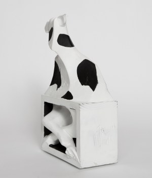 TV COW, Marek Jerzy Nowakowski