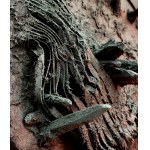 Crystalline/ from the series Hypersurface, Andrzej Sobiepan