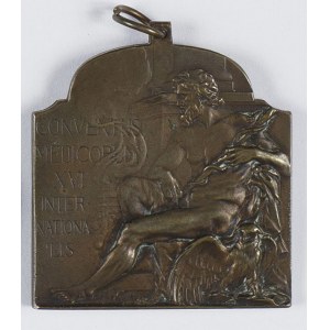 Medal pamiątkowy Conventus Medicorum XVI Internationalis M CMI X Budapestini/ XVI Międzynarodowy Konwent Medyczny 1909 Budapeszt