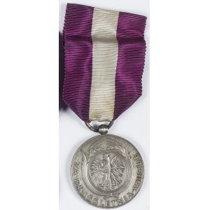 Medal Za długoletnią służbę XX lat (srebrny)