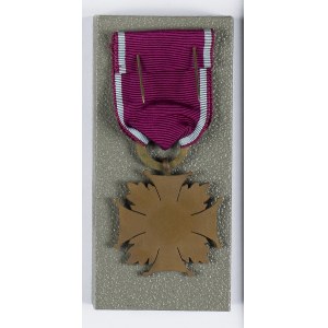Brązowy Krzyż Zasługi