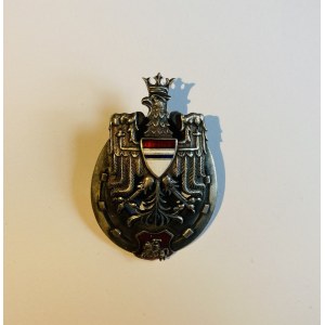 Odznaka pamiątkowa 10 Pułk Ułanów Litewskich