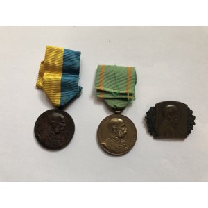 Austria 2 medale SIGNUM MEMORE