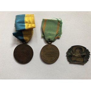 Austria 2 medale SIGNUM MEMORE