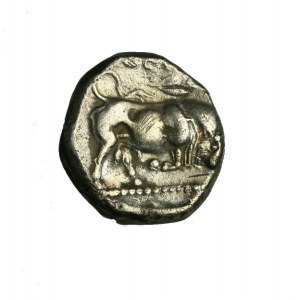 LUCANIA, Thourioi. Stater (425-400 p.n.e.) - głowa Ateny / byk szarżujący w prawo