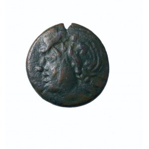 TRACJA - PANTIKAPAION (kolonia Miletu). AE 19 IV/III p.n.e. - głowa młodego PANA w wieńcu z winorośli / łuk ze strzałą PAN