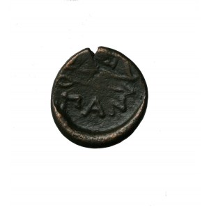 TRACJA - PANTIKAPAION (kolonia Miletu). AE 19 IV/III p.n.e. - głowa młodego PANA w wieńcu z winorośli / łuk ze strzałą PAN