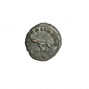 RZYM-GALLIENUS (254-268AD). AE antoninian LIBERO P CONSAVG