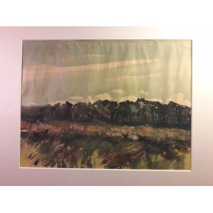 Marian Mokwa, paysage de Padreborn