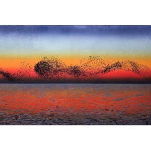 Aneta Szoltis-Mencina, Murmurations 2