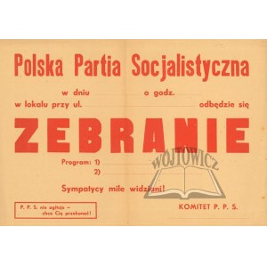 POLSKA Partia Socjalistyczna.