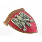 Odznaka Wzorowy Żołnierz