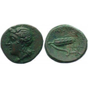 Ancient Greece Lucania, Metapontum Æ 300 - 275 BC