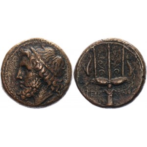 Ancient Greece Sicily, Syracuse Hieron II Æ Litra 275 - 216 BC