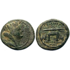 Roman Empire Syria L. Ceionius Commodus Æ 79 - 80 AD (CY188)