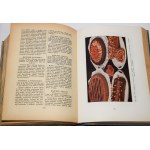 DISSLOWA Marja - Jak gotować. Praktyczny podręcznik kucharstwa. Poradnik we wszelkich sprawach odżywiania, zestawiania...1931