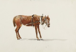 Karol KOSSAK (1896-1975), Studium konia w zaprzęgu