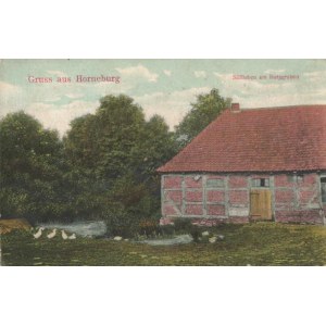 Pocztówka Grus aus Horneburg
