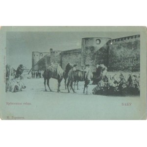 Pocztówka Wielbłądy Baku