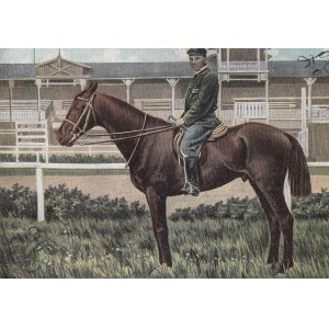 Dżokej na koniu, 1902 Kartka pocztowa