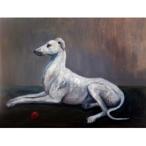 Kacper Piskorowski, Greyhound