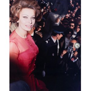 Ray BELLISARIO (1936 - 2018), Sophia Loren w Cannes, 1966