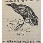 S. Orgelbranda Encyklopedja Powszechna t. 1-16 [bez suplementu][Herby polskie!]