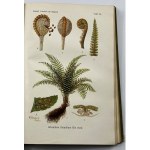 [Botany] Schmeil Otto, Lehrbuch der Botanik. Für höhere Lehranstalten und die Hand des Lehrers, sowie für alle Freunde der Natur