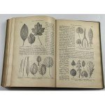 [Botanika] Schmeil Otto, Lehrbuch der Botanik. Für höhere Lehranstalten und die Hand des Lehrers, sowie für alle Freunde der Natur