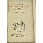 Ossendowski Ferdynand Antoni, Gasnące ognie: podróż po Palestynie, Syrji, Mezopotamji