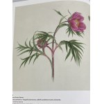 [Ausstellungskatalog] Pflanzen und Tiere. Atlas der Naturgeschichte im Zeitalter von Linnaeus
