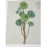 [Ausstellungskatalog] Pflanzen und Tiere. Atlas der Naturgeschichte im Zeitalter von Linnaeus