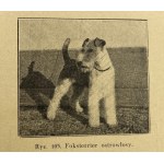 Mann Ignacy, Plemena psů: původ, vzory, užitkovost [1939].